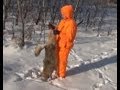 Охота на койотов в Саскачеване, Канаде. Ноябрь 2012 