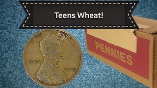 Coin Roll Hunting | Teens Wheat!