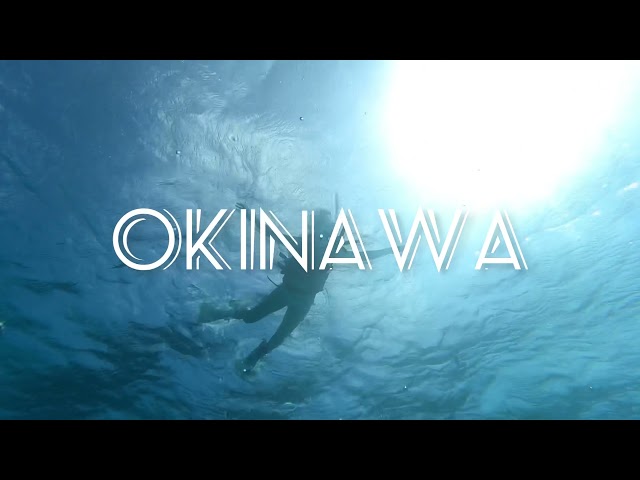 沖縄マリンサービスTI.OCEAN