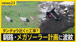 釧路・メガソーラー工事で波紋広がる　自然豊かな湿原周辺で何が　工事計画めぐる様々な声【news23】｜TBS NEWS DIG