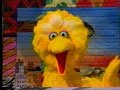 Sesame Street Big Bird Tries To Help Gina