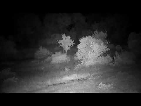 Djuma: Hippo leaving - 03:02 - 03/08/2023