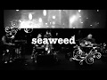 2017 tindersticks -  seaweed  (minute bodies 2017 tour)