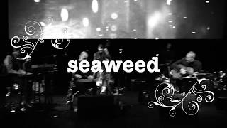 tindersticks -  seaweed 2017