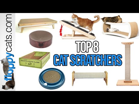 Top 8 Best Cat Scratchers (We Reviewed Them All)