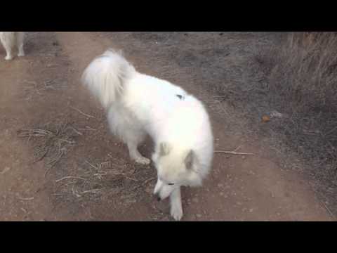 18/09/2011: Ohanna, Blanca & Odín (1)