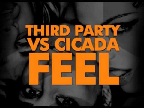 Third Party Vs Cicada - Feel (Original Radio Edit)