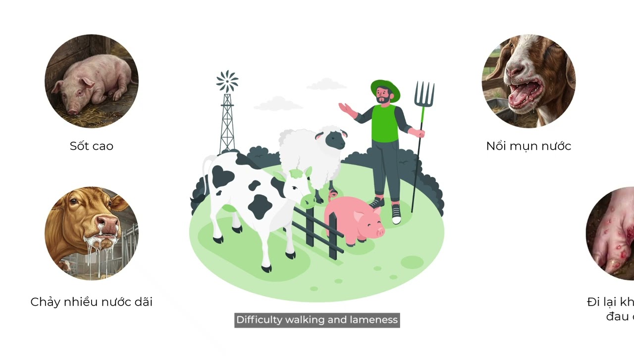 Preventing transboundary animal diseases: Biosecurity – A shield against foot-and-mouth disease