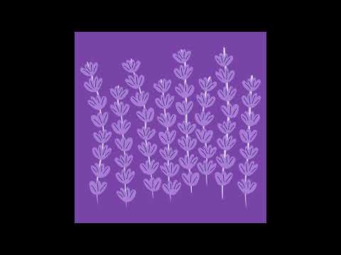 Lawrence Walther & vhskid. & Vihta - Lavender