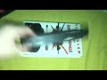 Jungle 2 Jungle VHS Review