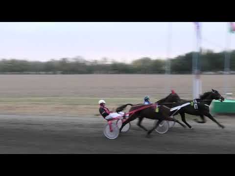 Trka "Oroshaze" 21.10.2018 Lejla S.P.-Boris Kečenović