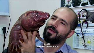 Miniatura do vídeo
