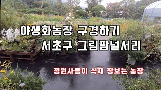 정원사들이 가장 많이 찾는 서울 정원널서리 둘러보기~