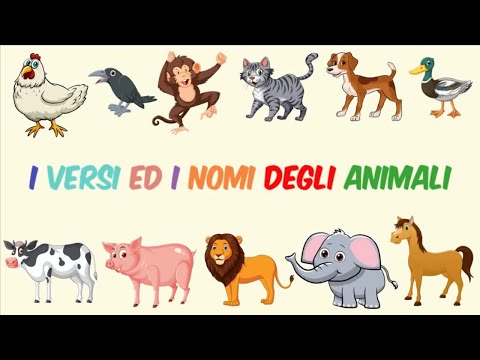 Versi degli animali | Animali | Animali per bambini | Versi animali per bambini