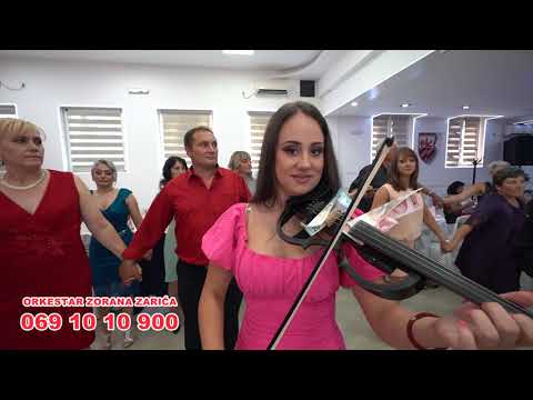 Orkestar Zorana Zarića - Jedno lepo kolo na violini #live #uzivo