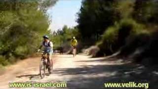 preview picture of video 'Mountain biking. Israel. Forest ha-Nasi - Forest Eshtol - Taoz. Israel. Лес ха-Наси - лес Эштоль - Таоз. Израиль.'