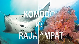 Download lagu E06 | Raja Ampat vs Komodo - Which one to choose for your next dive trip? mp3