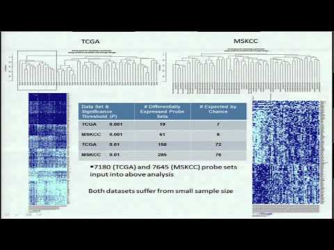 Validated Targets Associated With Curatively Treated Advanced Serous Ovarian... - Douglas Levine