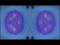 Petrol | Severed Heads