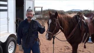 FH   Carrying an M4 Carbine on Horseback