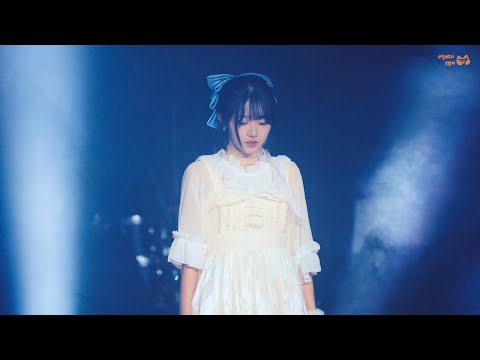 231012 스노우 드롭 - SNOW DROP [나비 직캠]