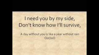 A year without rain - Leona Lewis (Lyrics)