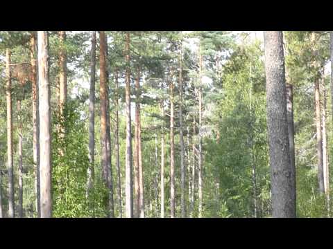 Östansjöloppet 2011 - Start (Del 2 av 2)