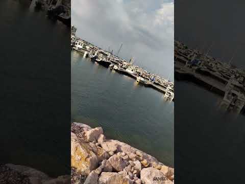 نعمان بلعياشي و زينة الداودية - عرفتي عمري علاش مشيت ! 💔💔🖤