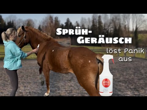Panik vor der Sprühflasche😨| so hat er die Angst überwunden