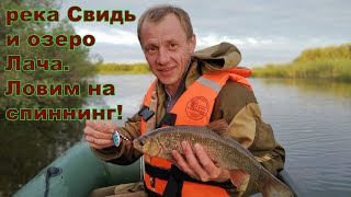 Река устье архангельская область рыбалка