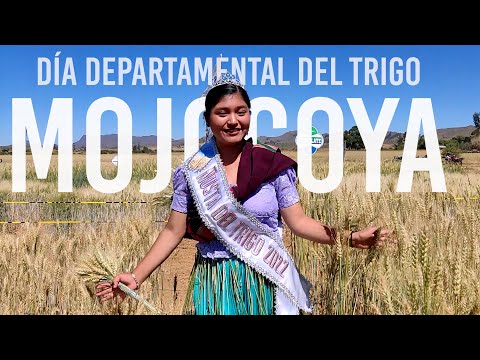 Día departamental del TRIGO en MOJOCOYA - El Chef Sin Fronteras