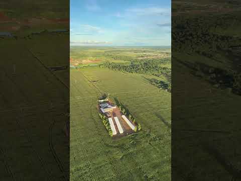 Guarantã Do Norte MT #paramotor