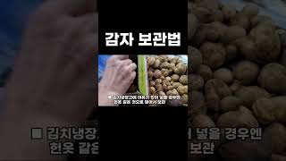 감자를 오래 보관하는 방법 3가지