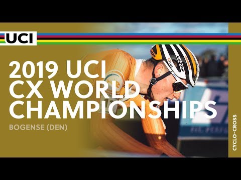 2019 UCI Cyclo-cross World Championships - Bogense (DEN) / Men Elite
