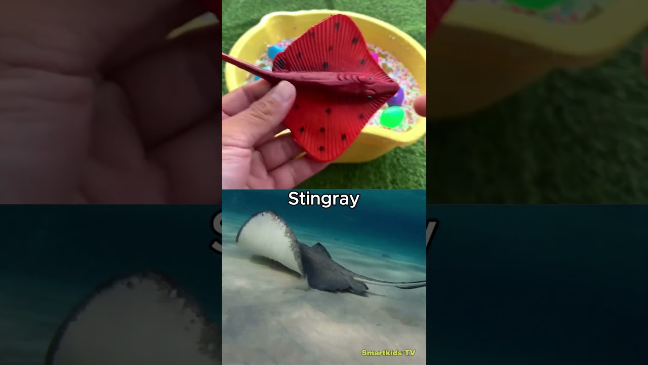 Learn Animal Names for Kids | Smartkids TV #animalsforkids #shortskids #preschoollearning