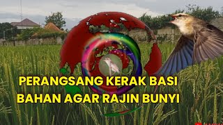 Download lagu SUARA PANCINGAN KERAK BASI AGAR CEPAT BUNYI mp3