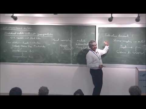 Subir  Sachdev - The SYK models of strange metals and black holes