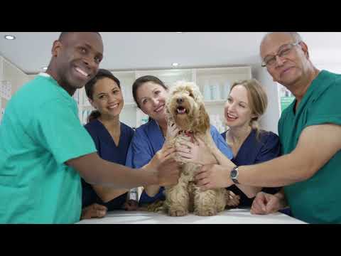 Join AVMA and Merck Animal Health in the wellbeing study partnership
