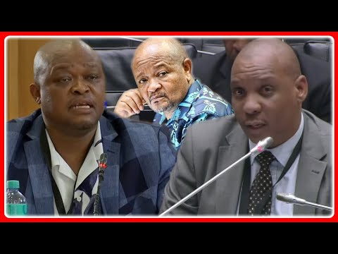 FINALLY Nkabinde Resumes Evidence At AD HOC Committee “Minister Mchunu Meeting With Brown Mogotsi”