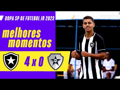 Gols e lances de Botafogo x Pinheirense