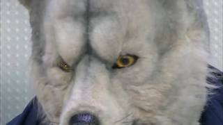 MAN WITH A MISSION - database