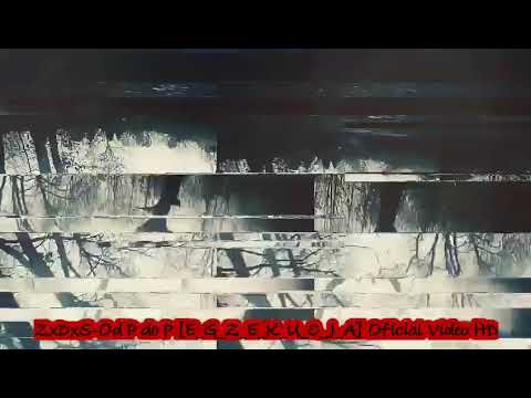 #ZasznurowanyDoskonaleStyl#-Od P do P [E_G_Z_E_K_U_C_J_A] OFICIAL VIDEO FULL HD