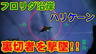 Hurricane - ACE COMBAT ASSAULT HORIZON for XBOX360
