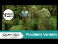 Ideas to Design a Woodland Garden | Garden Style (514)