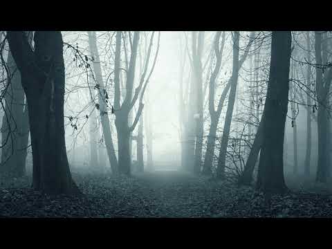 Alone with the Rhythm (Progressive & Deep House mix)