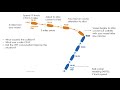 Rules Of The Road Case Study 3 Analysis
