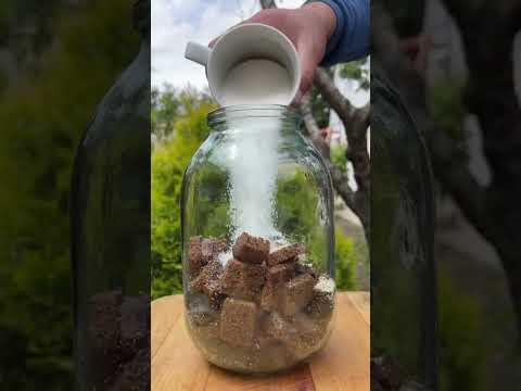 Homemade kvass made from bread