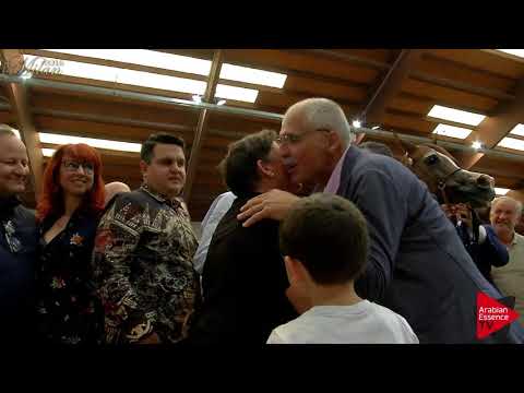 N.72 ALMA AL TIGLIO - Milan 2018 - Senior Mares Championship (Class 19)  1st place