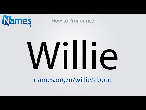 Willie Name Meaning, Origin, History, And Popularity