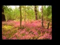 Amazing Grace -Susan Boyle- 